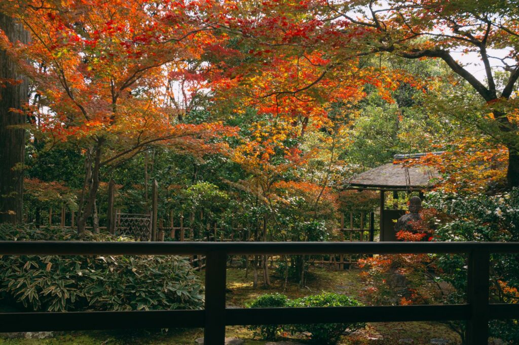 Japanese garden